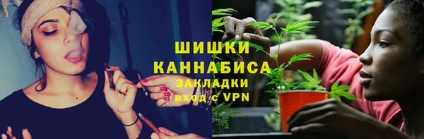 стафф Протвино