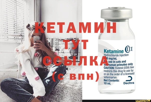 стафф Протвино