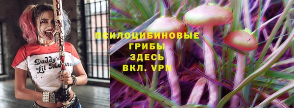 стафф Протвино